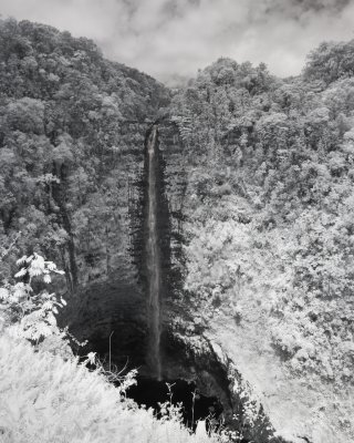 Akaka Falls IR - IGP5053