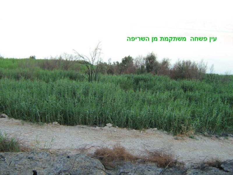   2.jpg
