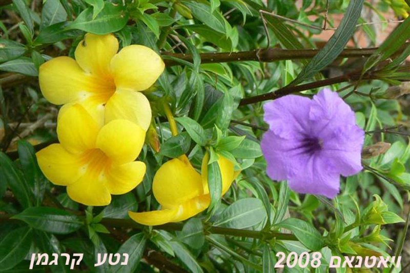    08.jpg