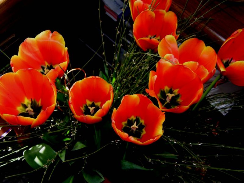  16.2.09 -0005.jpg