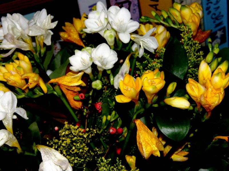  16.2.09 -0008.jpg