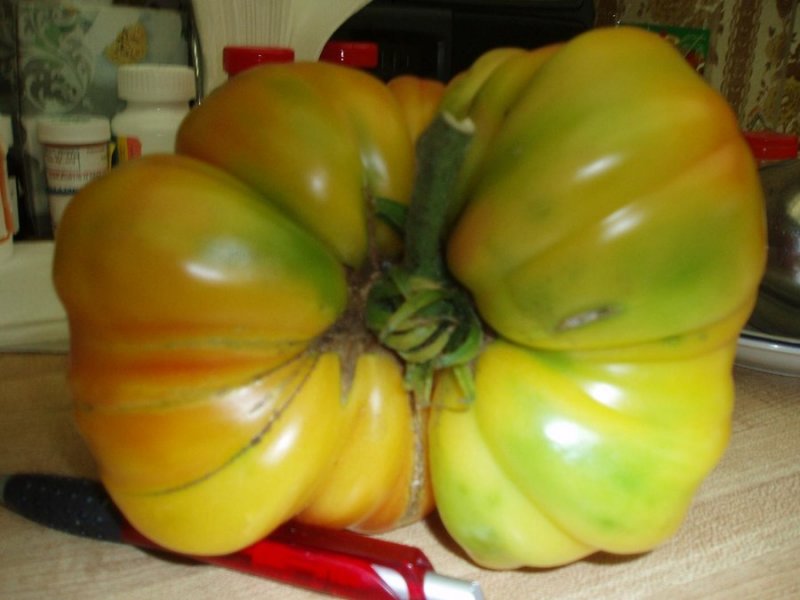 MY LARGEST TOMATOE 002 B.JPG