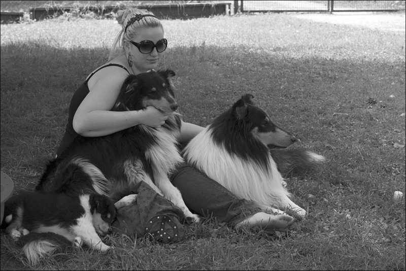 yvi_hunde_bw.jpg