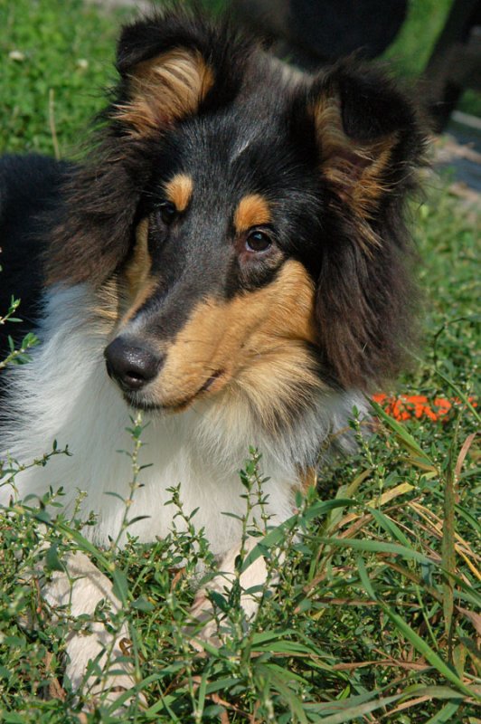2009-09-20_10-10-05.jpg