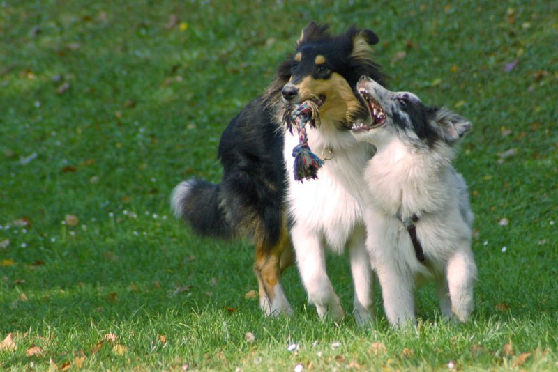 2009-10-03_10-26-44.jpg