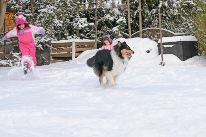 2010-01-06_13-27-04.jpg