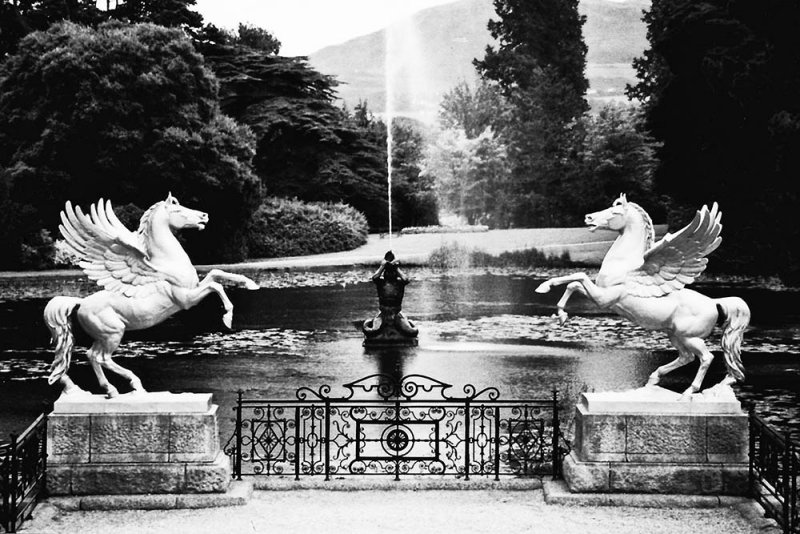 powerscourt_bw.jpg