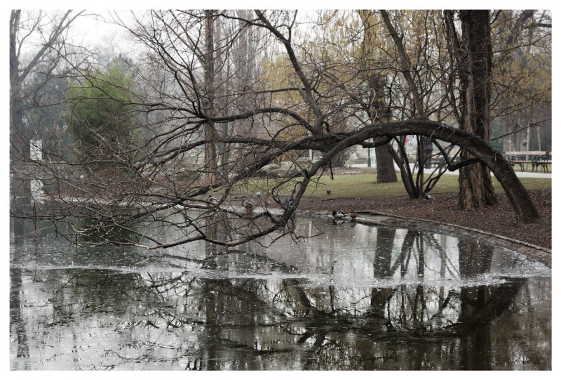 stadtpark6