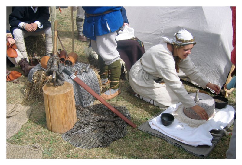 cesis14.jpg
