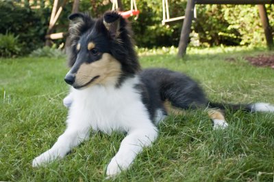 2009-08-16_17-35-37.jpg