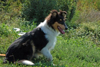 2009-09-20_10-07-42.jpg