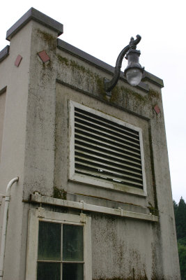 leaburg light 1.jpg