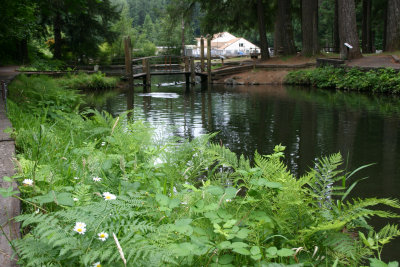 Leaburg Pond 1.jpg