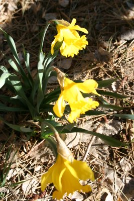 IMG_6824.JPG