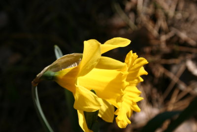 IMG_6825.JPG