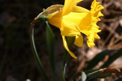 IMG_6826.JPG