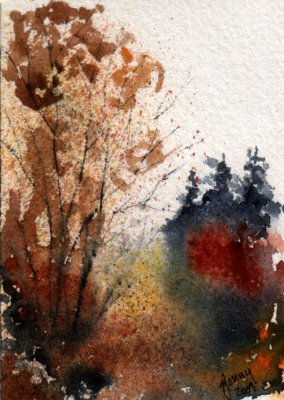 Tree Study 8-09