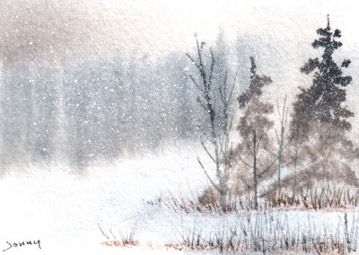 December Snow 12-10
