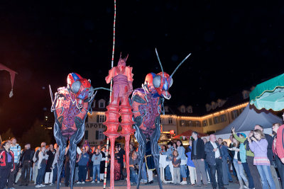 5D--5023.jpg