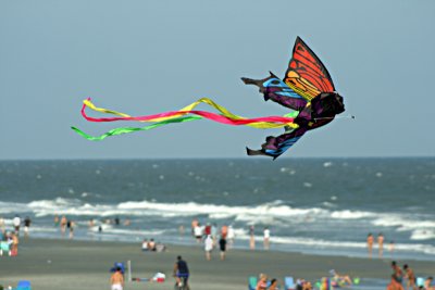Riding the wind
