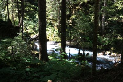 On the way in we hiked next to the river