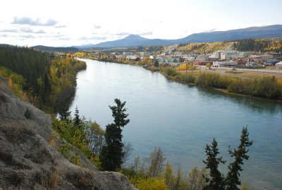 The Yukon River at Whitehorse