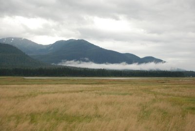 Mendenhall Wetlands near Juneau
