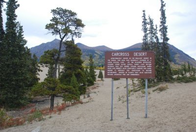 The Carcross Desert is about one mile north of Carcross