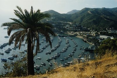 View of Avalon harbor from Chimes Tower Road