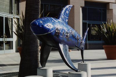 Shark Byte Art - San Jose, CA