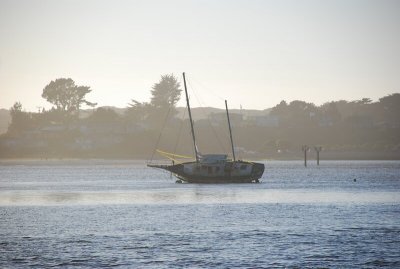 Bodega Bay