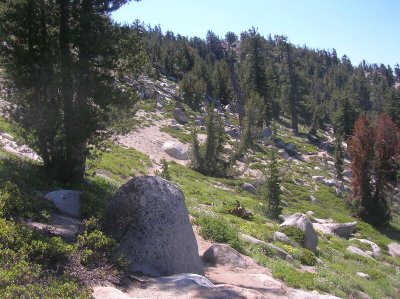 Flume Trail & Tahoe Rim Trail - July 2006