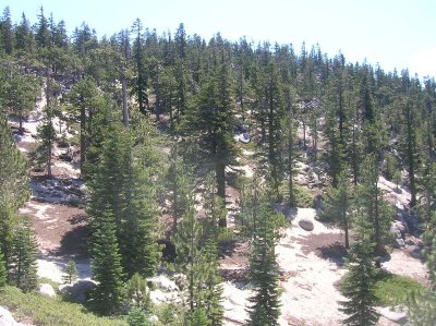 Tahoe Rim Trail