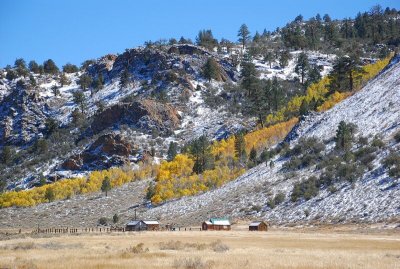 Along Highway 395 in autumn