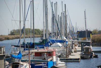 g1/67/860367/3/114465006.A3D9W0YG.jpg