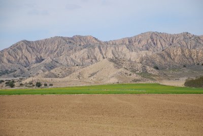 Cuyama Valley
