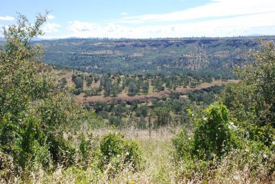 Along Hwy 32 north of Chico