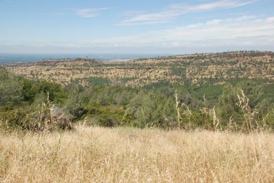 Along Hwy 32 north of Chico