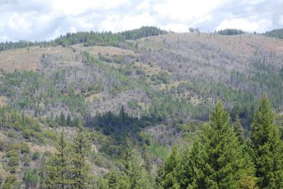 Along Hwy 32 north of Chico
