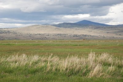 Hwy 139 north of Susanville