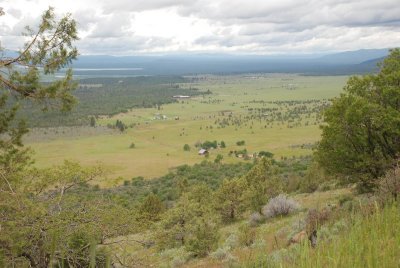 Along Hwy 299