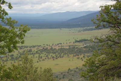 Along Hwy 299