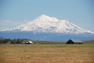 Mt. Shasta