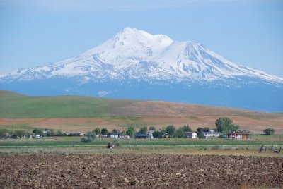 Mt. Shasta