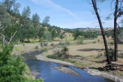 Along Hwy 36 west of Red Bluff