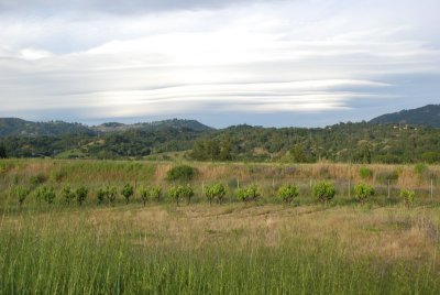 g1/67/860367/3/125666272.zcOcnxYZ.jpg