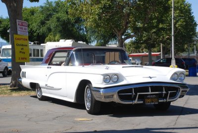 DSC_4306.jpg