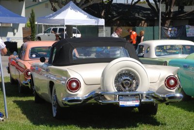 DSC_4339.jpg