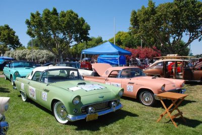 DSC_4348.jpg
