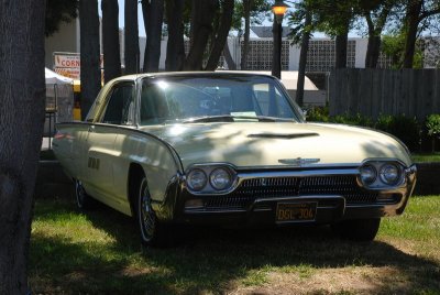 DSC_4375.jpg